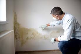 Why You Should Choose Our Mold Remediation Services in Spokane, WA